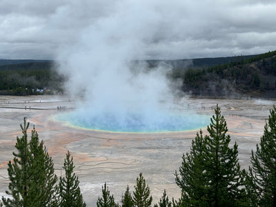 What Are the Top 5 Things to Do in Yellowstone National Park?